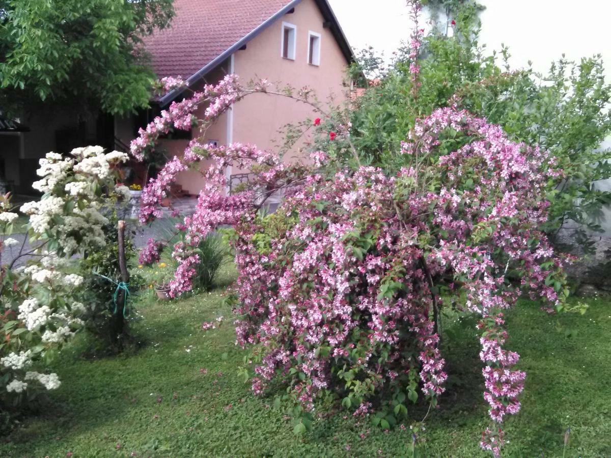 Apartment Tomasevic Slunj Zewnętrze zdjęcie