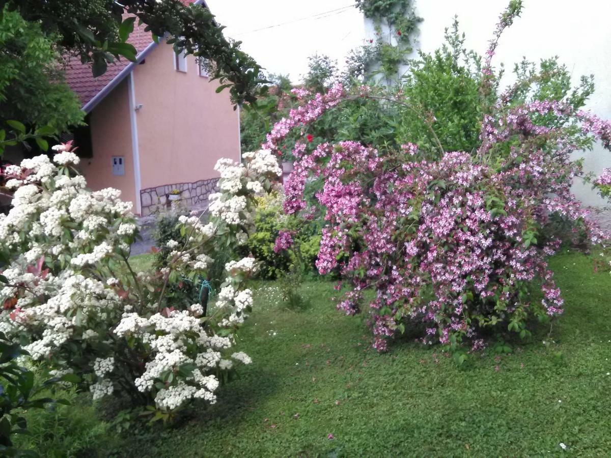 Apartment Tomasevic Slunj Zewnętrze zdjęcie